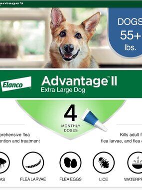 Advantage II XL Dog Vet-Recommended Flea Treatment & Prevention | Dogs Over 55 l